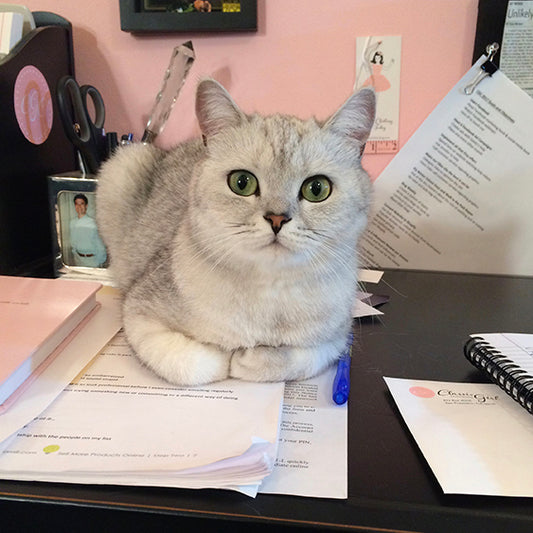 Classic Girl's cat sitting on her desk